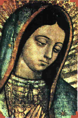 Virgen de Guadalupe