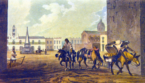 Plaza de Mayo y Cabildo